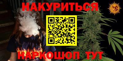 спиды Дубна