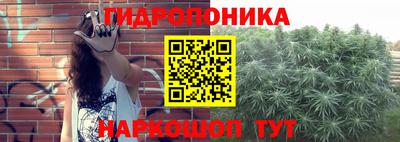 дурь Донской